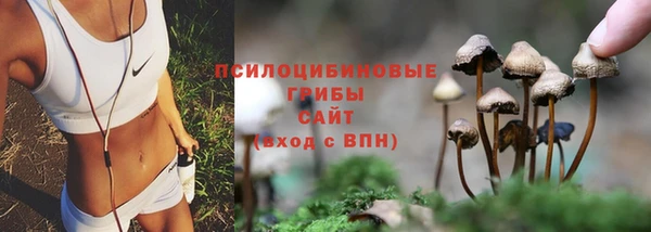 наркотики Бородино