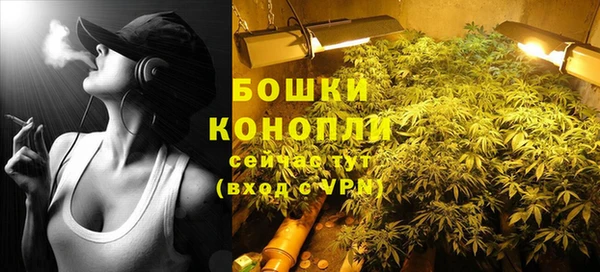трава Богородицк