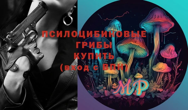 СК Бронницы