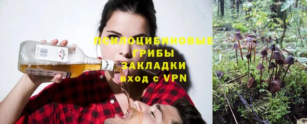 трава Богородицк