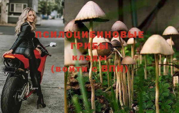 прущая мука Богородск