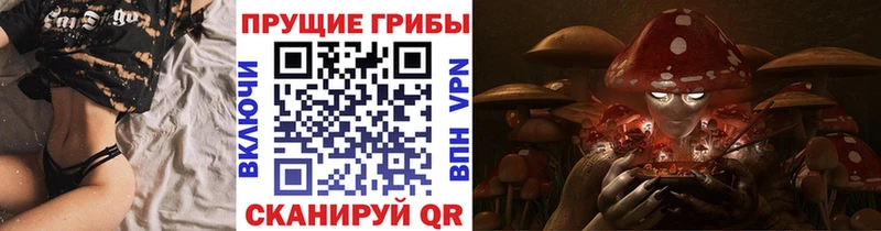Галлюциногенные грибы Magic Shrooms  продажа наркотиков  Бугульма 